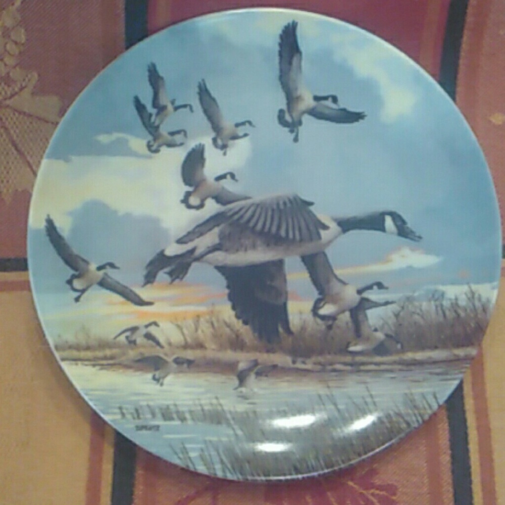 Collectors plate
